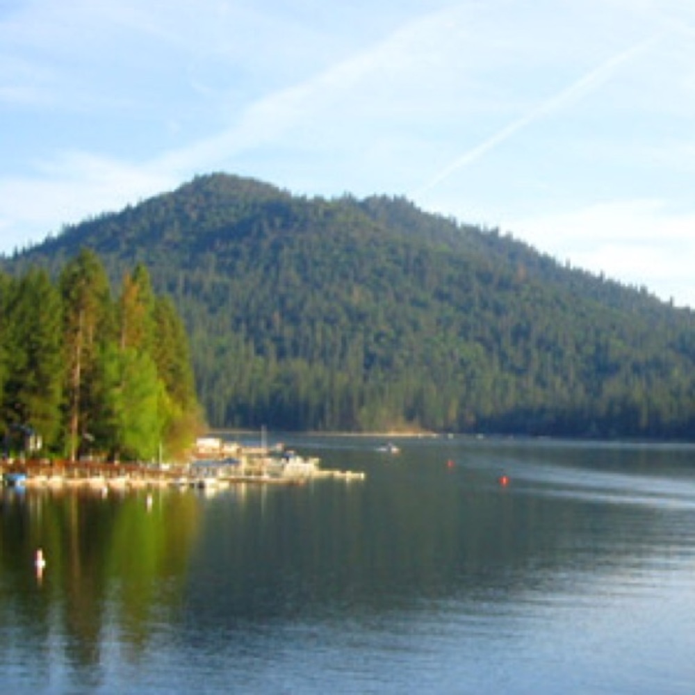 Meet your Posher, Audrey